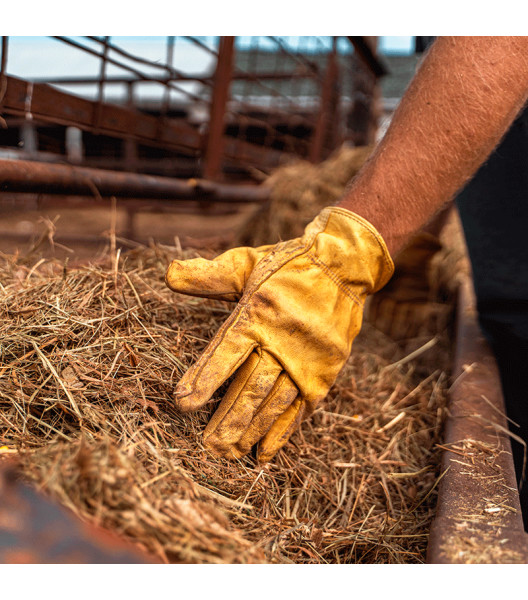 Premium Grain Deerskin Driver, Golden, large