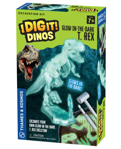 I Dig It! Glow-in-the-Dark T. Rex Excavation Kit