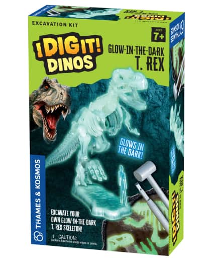 I Dig It! Glow-in-the-Dark T. Rex Excavation Kit