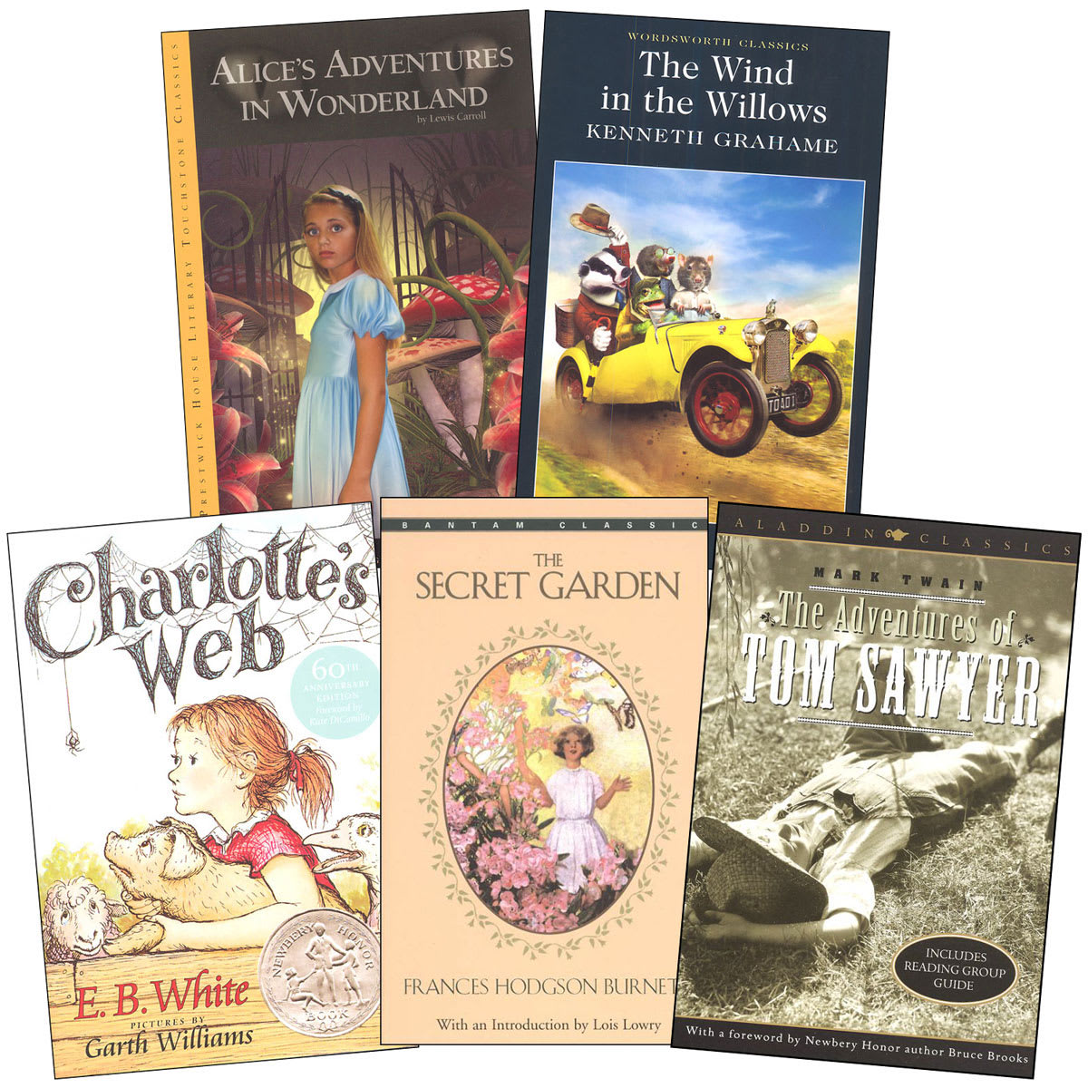 Frontiers in Writing Optional Literature Package