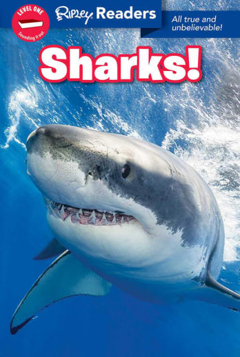 Sharks (Ripley Readers Level 1)