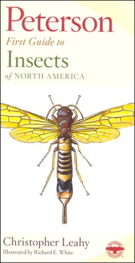 Peterson First Guide to Insects of North America