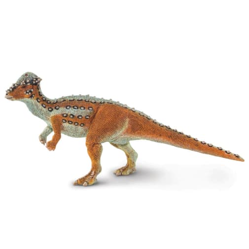 Pachycephalosaurus (Wild Safari Prehistoric World)