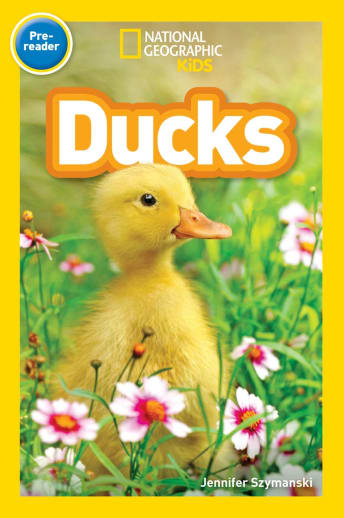 Ducks (National Geographic Reader Pre-Reader)