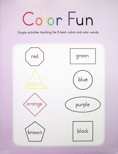 Color Fun Workbook