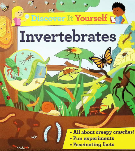 Discover It Yourself: Invertebrates