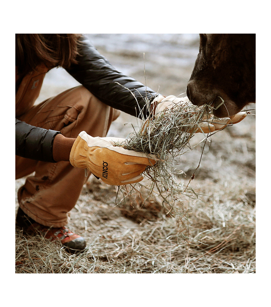 Lined Premium Grain & Suede Pigskin Driver with Omni-Cuff&trade;, Golden, large image number 3