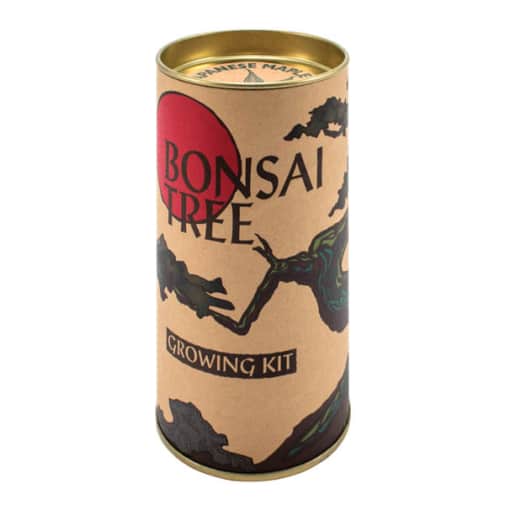 Bonsai (Japanese Maple) Grow-A-Tree Kit