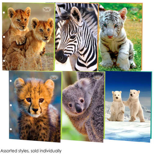 Wildly Cute Portfolio Assorted Furiously Fluffy Design