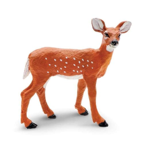 Whitetail Fawn (Wild Safari North American Wildlife)