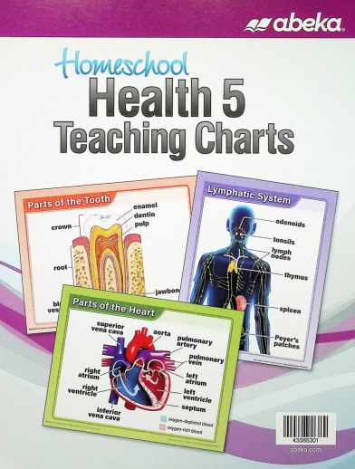 Abeka Health 5 Homeschool Teaching Charts - Revised