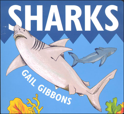 Sharks Board Book