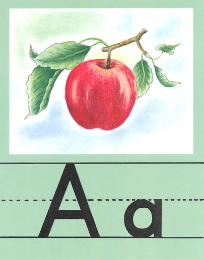 Large Alphabet Set (Illustrated Alphabet Cards)