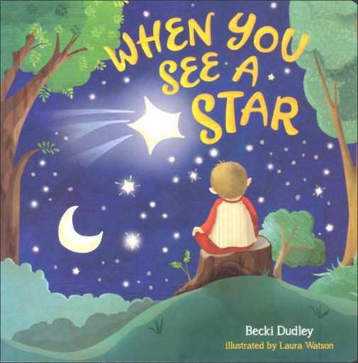 When You See a Star Board Book