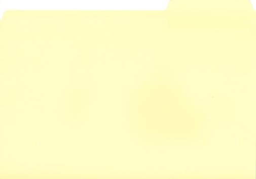 Manila File Folder (single)