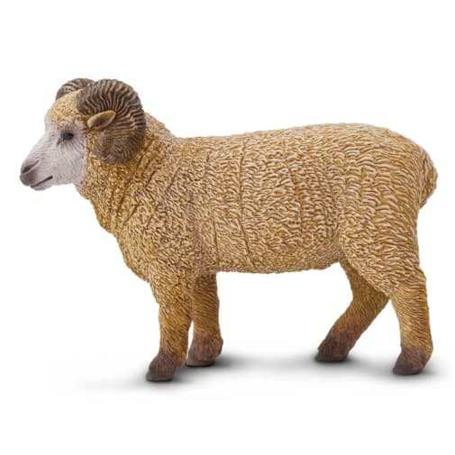 Ram (Safari Farm)