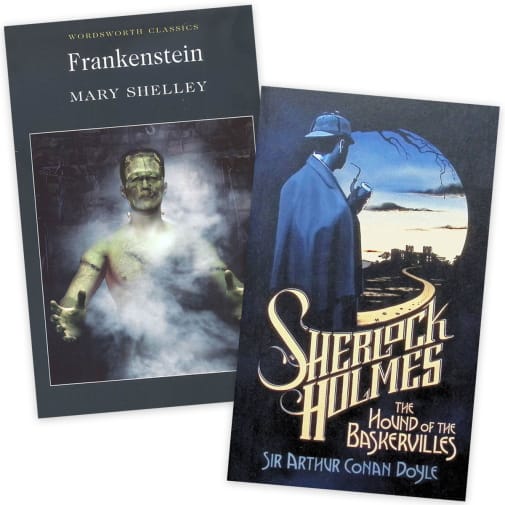 Horizon Charter Schools ELA Novels 12th Grade