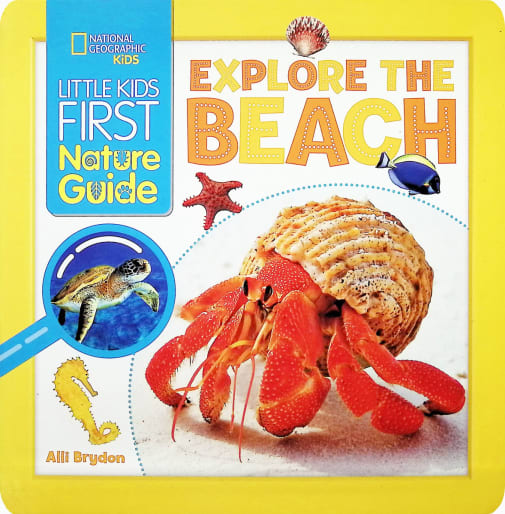 Explore the Beach (Little Kids First Nature Guide)