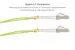 LC-LC 100 Gigabit Multimode Duplex 50/125 OM5 UPC Fiber Optic Cable, 1M