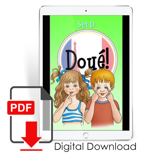 Brillliant! French Level 1 Flashcards Set D PDF Download