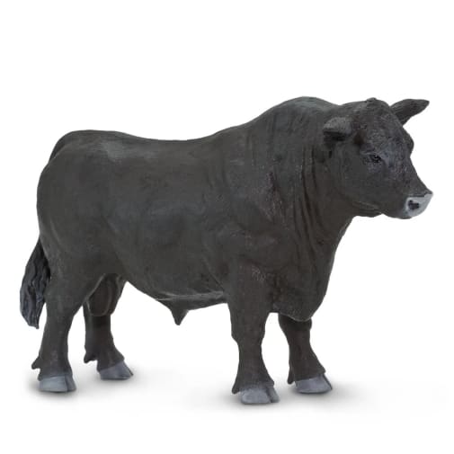 Black Angus Bull (Safari Farm)