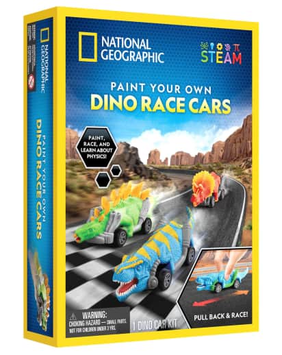 Paint Your Own Dino Race Cars