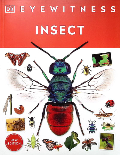Insect (Eyewitness Book)