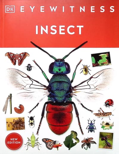 Insect (Eyewitness Book)
