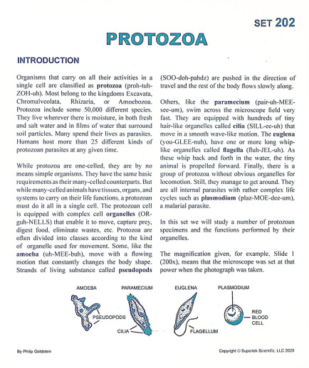 Protozoa Microslide Lesson Set