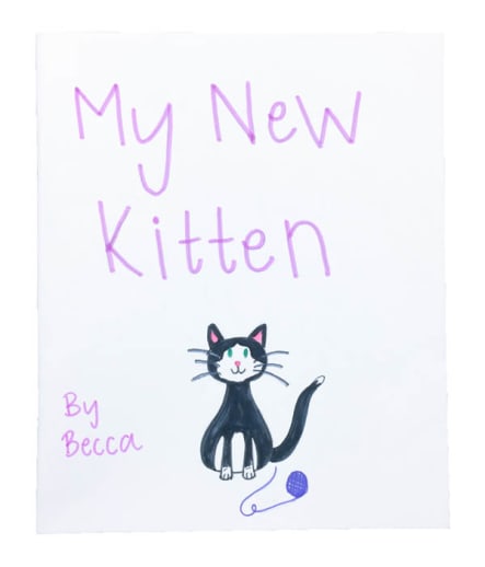 Softcover Thin Ruled Book Portrait (8.5" x 11")