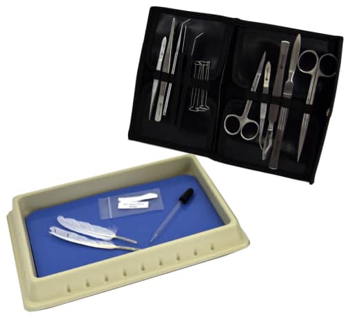 Discovering Design with Biology, Dissection Kit - EPS