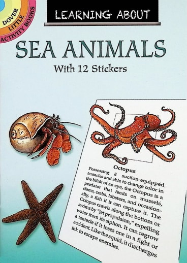 Learning About Sea Animals