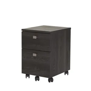 2-Drawer Mobile File Cabinet