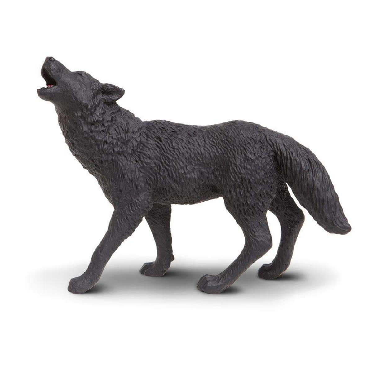 Black Wolf (North American Wildlife)