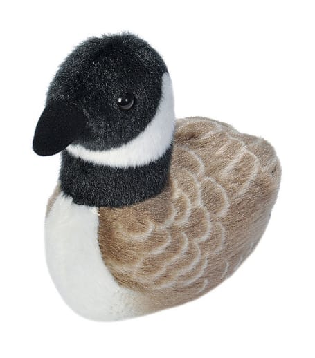 Audubon Bird: Canada Goose with Bird Call