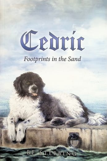 Cedric: Footprints in the Sand