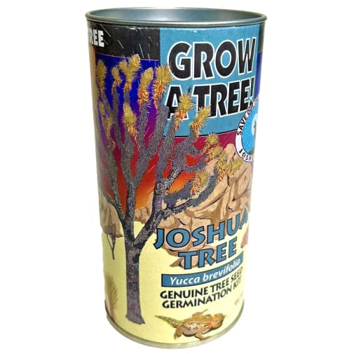 Joshua Tree Grow-A-Tree Kit