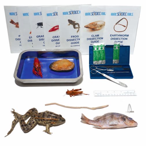 Intermediate Dissection Kit