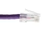 20ft Purple Non-Booted CAT6 Ethernet Patch Cable