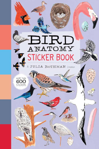 Bird Anatomy Sticker Book by Julia Rothman