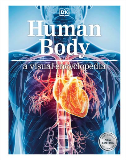 Human Body (A Visual Encyclopedia)