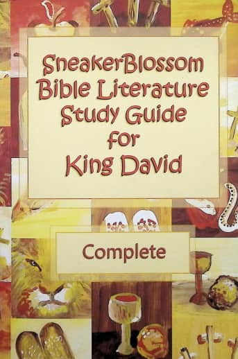 SneakerBlossom Bible Literature Study Guide for King David