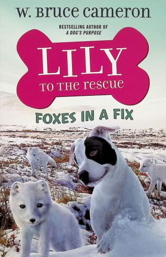 Lily to the Rescue: Foxes in a Fix (Book 7)
