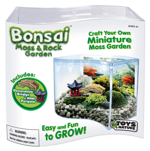 Bonsai Moss and Rock Garden