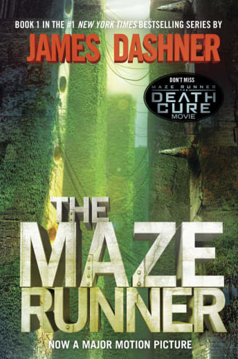 Maze Runner (Maze Runner Series #1)
