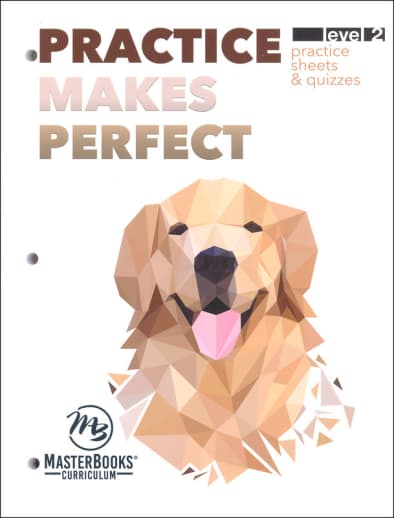 Practice Makes Perfect Level 2