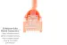 CAT6A Ethernet Patch Cable, Half-moon Boot, UTP, 25 ft, Orange