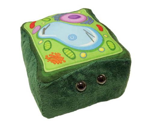 Plush Plant Cell