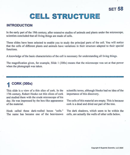 Cell Structure Microslide Lesson Set