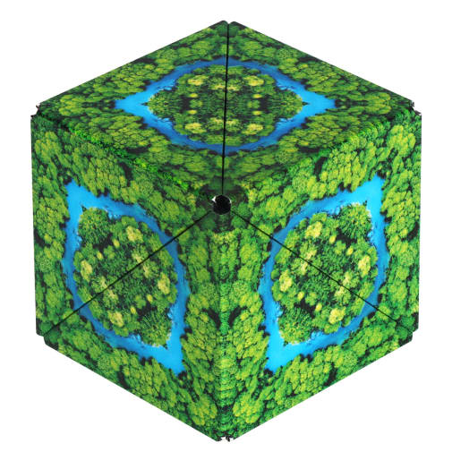 Shashibo Magnetic Puzzle Cube - Jungle (Wild Series)